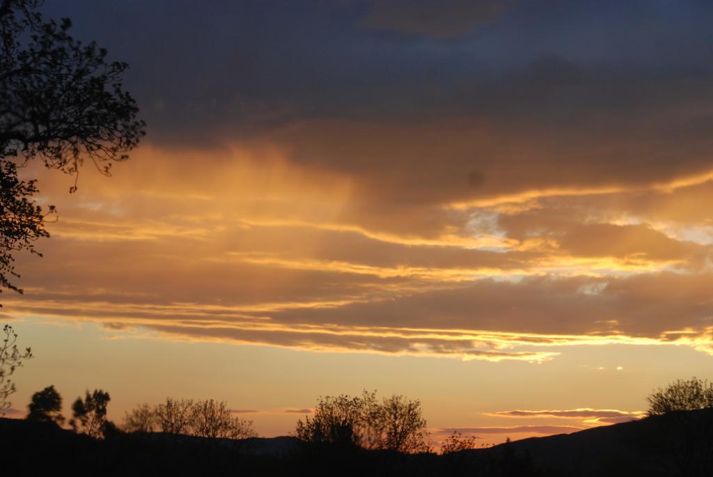 Bonawe House Holiday Cottages Taynuilt Luaran gambar